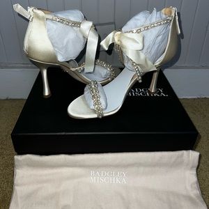 Brand new, never worn, size 6.5 Badgley Mischka heels!